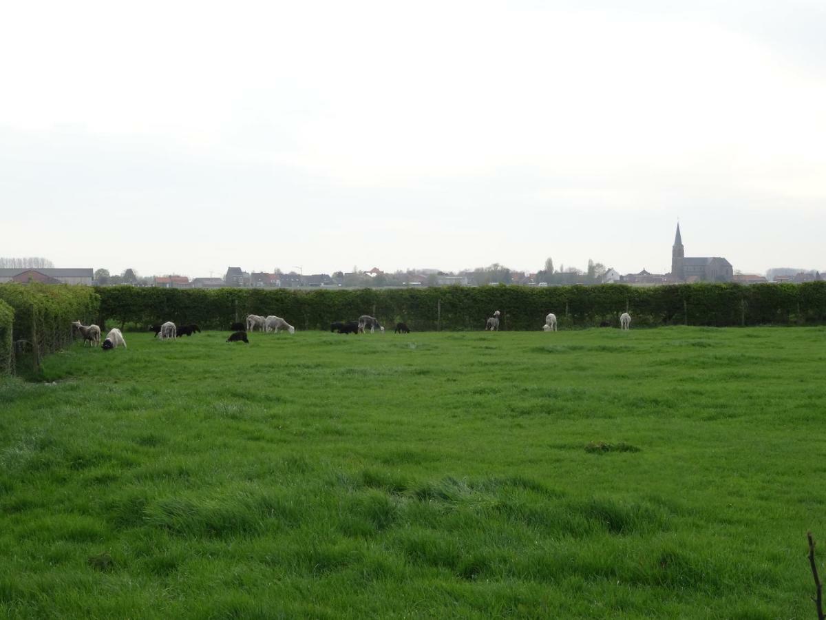 De Molenkreek Villa Sint-Margriete Bagian luar foto