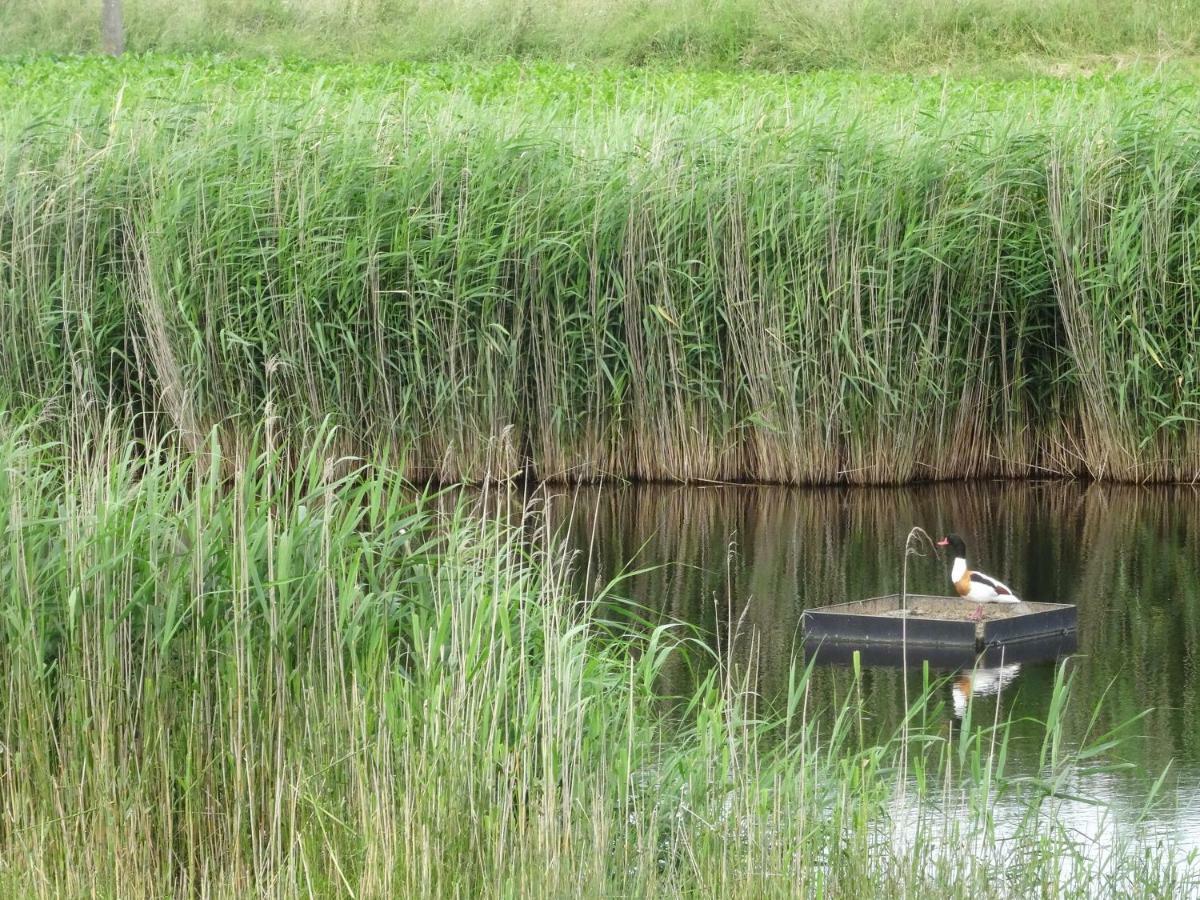 De Molenkreek Villa Sint-Margriete Bagian luar foto
