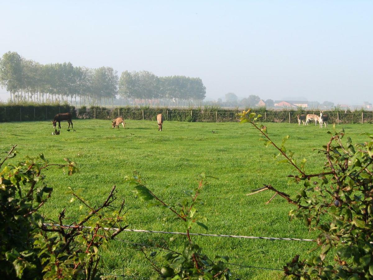 De Molenkreek Villa Sint-Margriete Bagian luar foto
