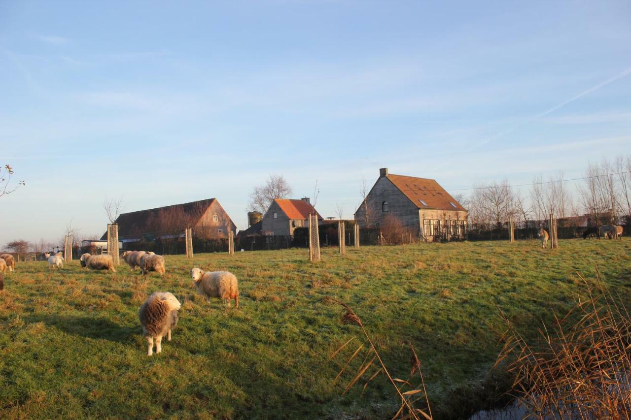De Molenkreek Villa Sint-Margriete Bagian luar foto