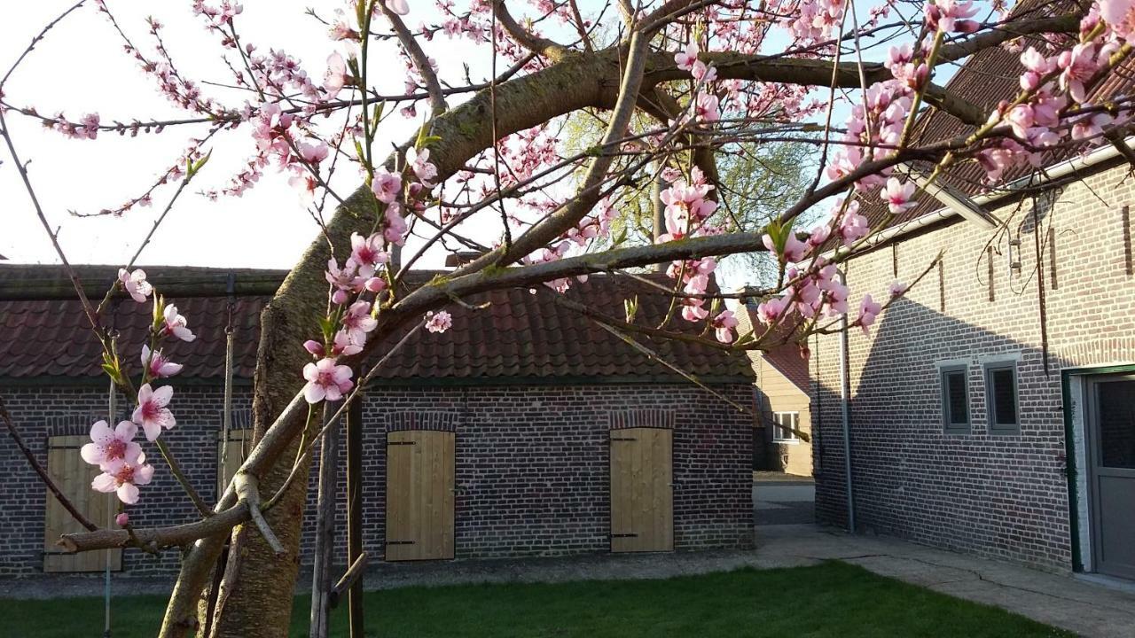 De Molenkreek Villa Sint-Margriete Bagian luar foto